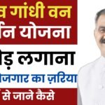 Rajiv Gandhi Van Samvardhan Yojana 2025