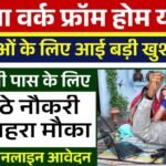 Mukhyamantri Work From Home Yojana